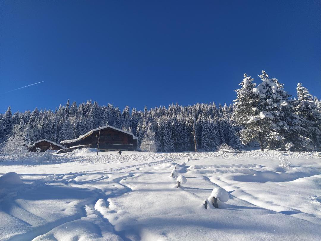 Chalet Lisa Morzine Exterior foto